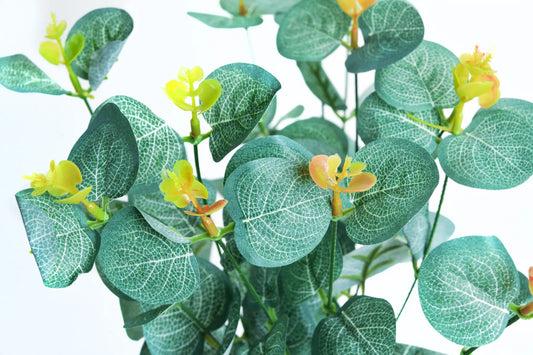 Ramo Dólar 4 Varas Verde Turquesa 45 cm