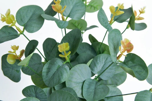 Ramo Dólar 4 Varas Verde Limon