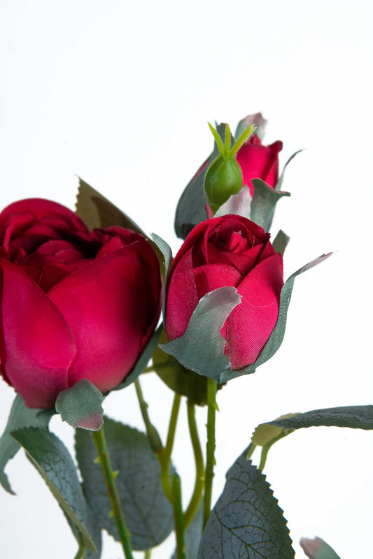 Vara de Rosas Rojas 63 C.M.