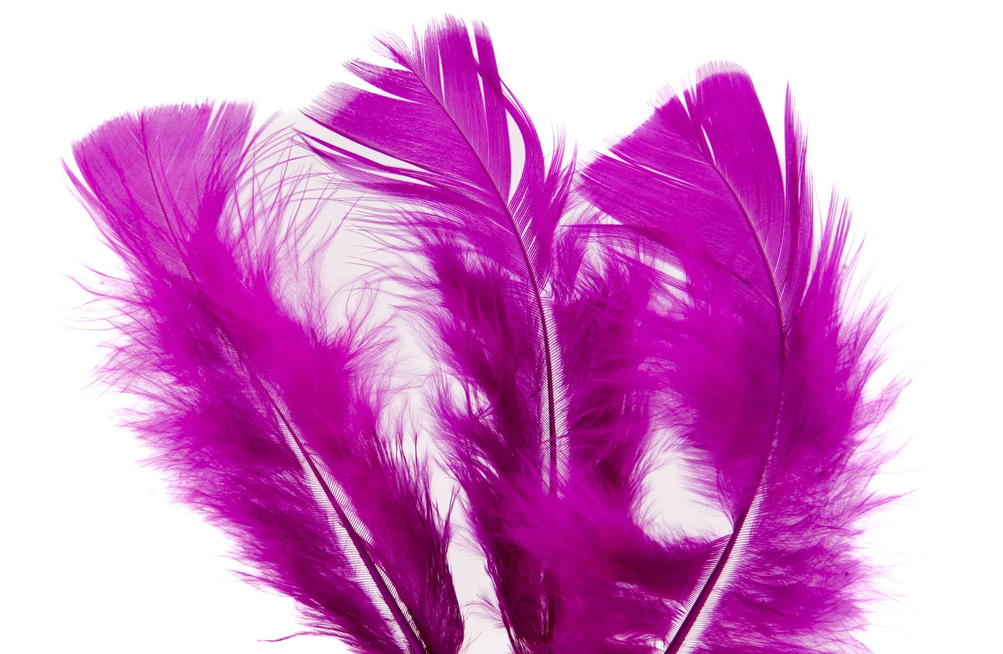 Pluma de Pavo Calidad AAA 10 Piezas | Ideal para Manualidades, Decoración y Proyectos DIY