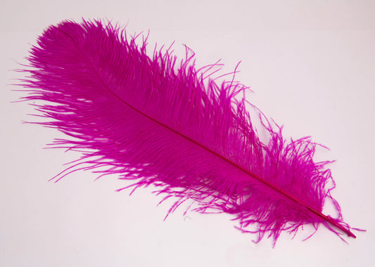 Pluma de Avestruz Grande - 50/55 cm