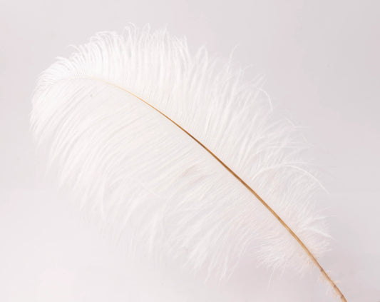 Pluma de Avestruz Chica - 30 a 35 cm