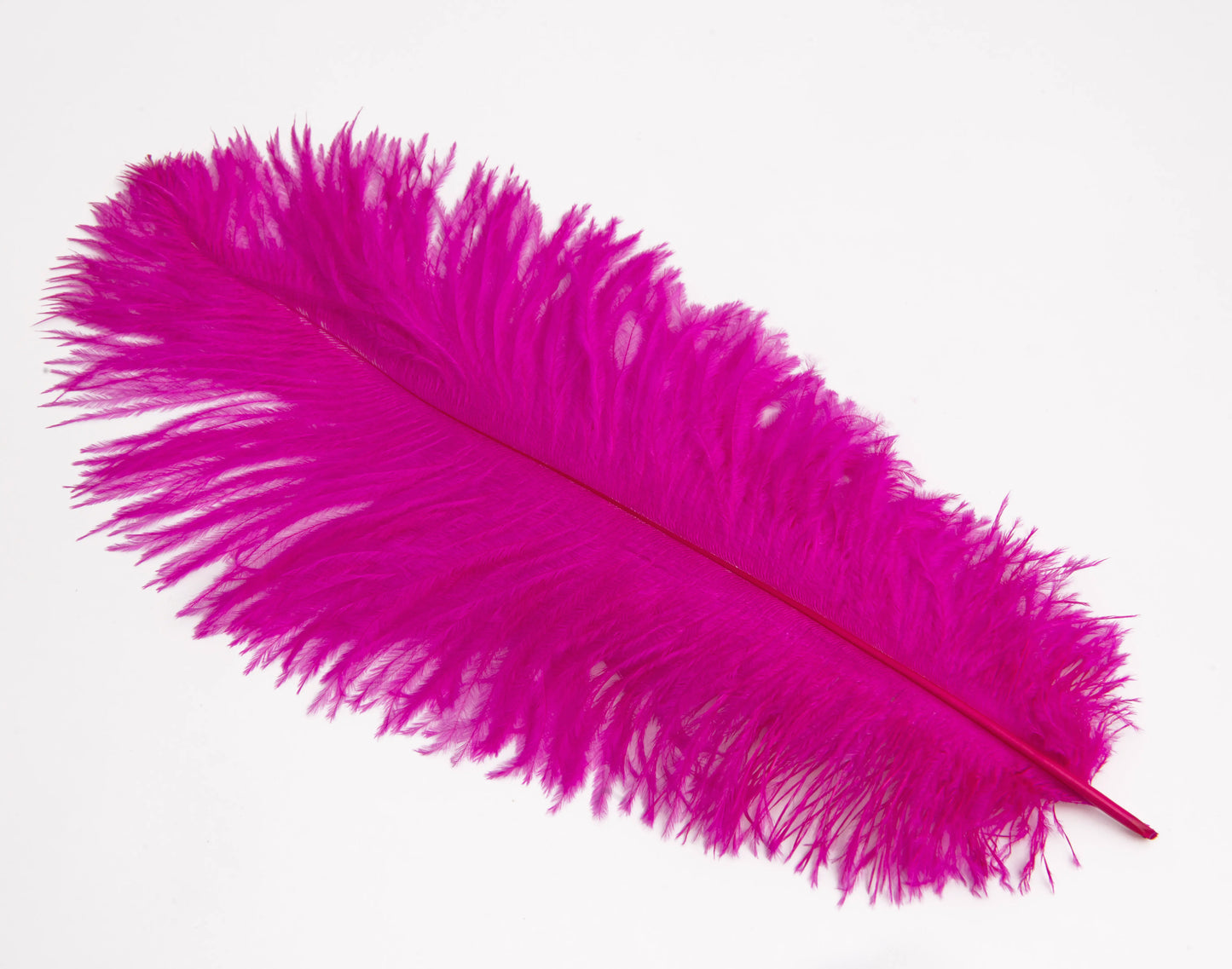 Pluma de Avestruz Chica - 30 a 35 cm