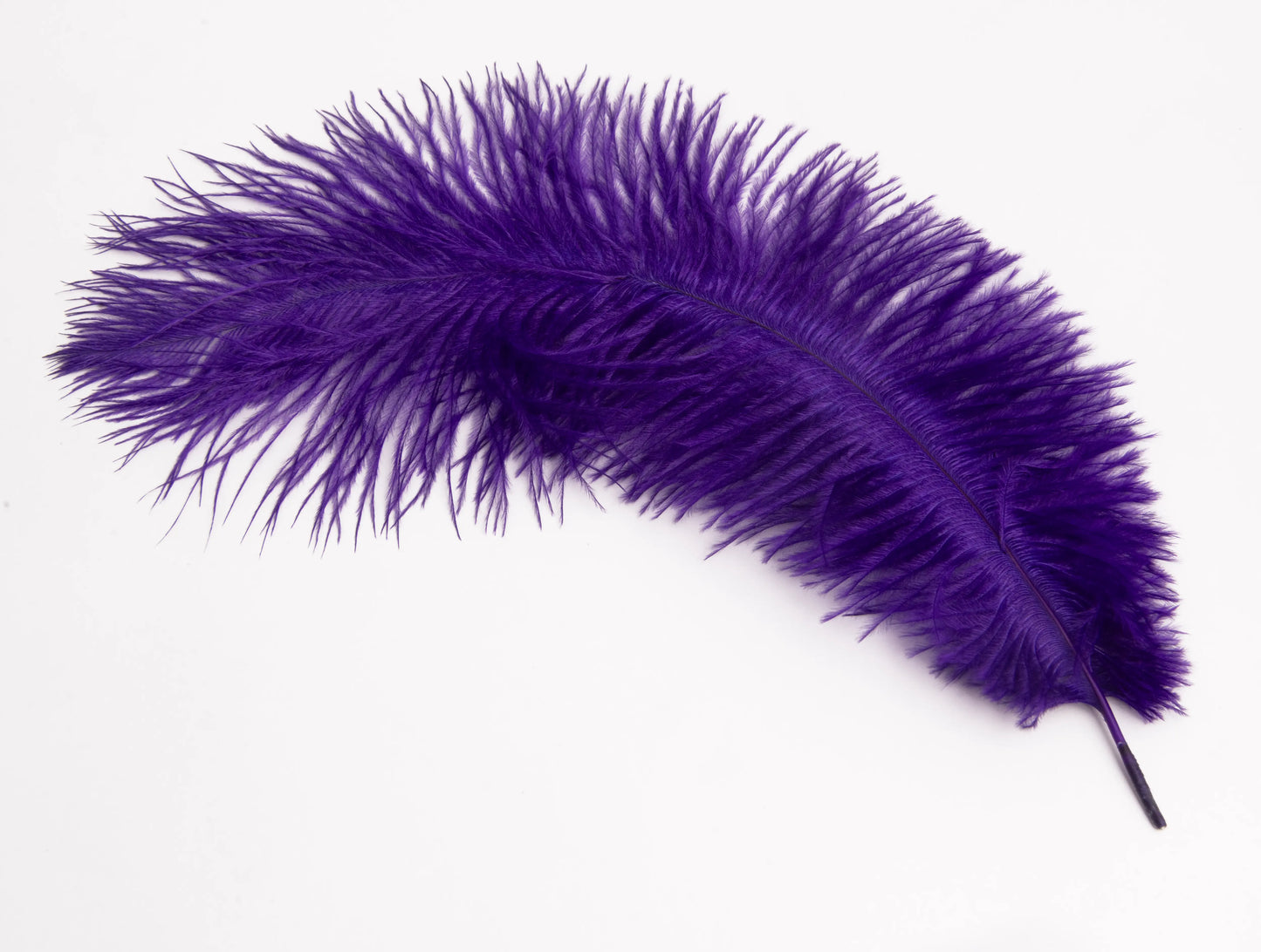 Pluma de Avestruz Chica - 30 a 35 cm