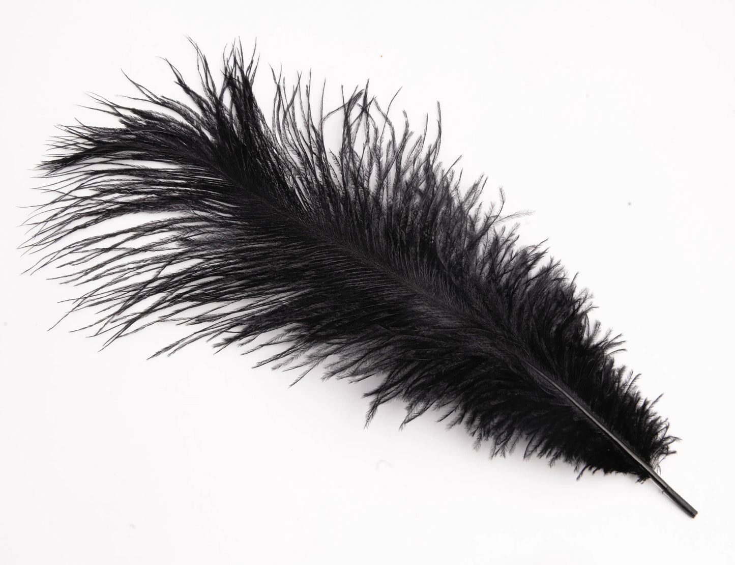 Pluma de Avestruz Chica - 30 a 35 cm