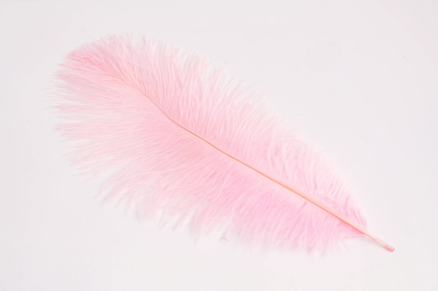Pluma de Avestruz Chica - 30 a 35 cm