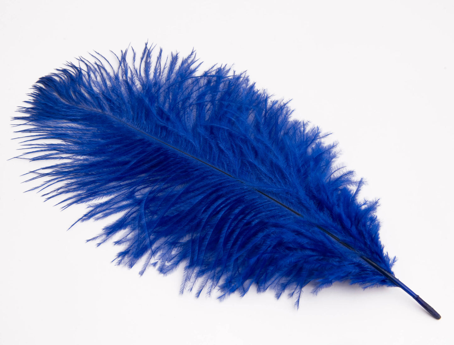 Pluma de Avestruz Chica - 30 a 35 cm