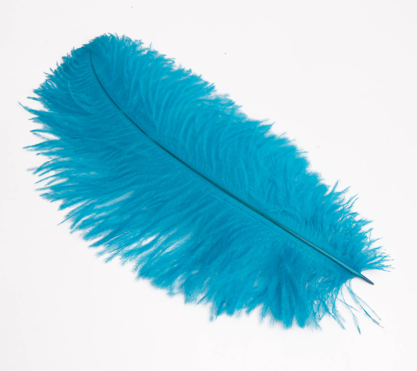 Pluma de Avestruz Chica - 30 a 35 cm