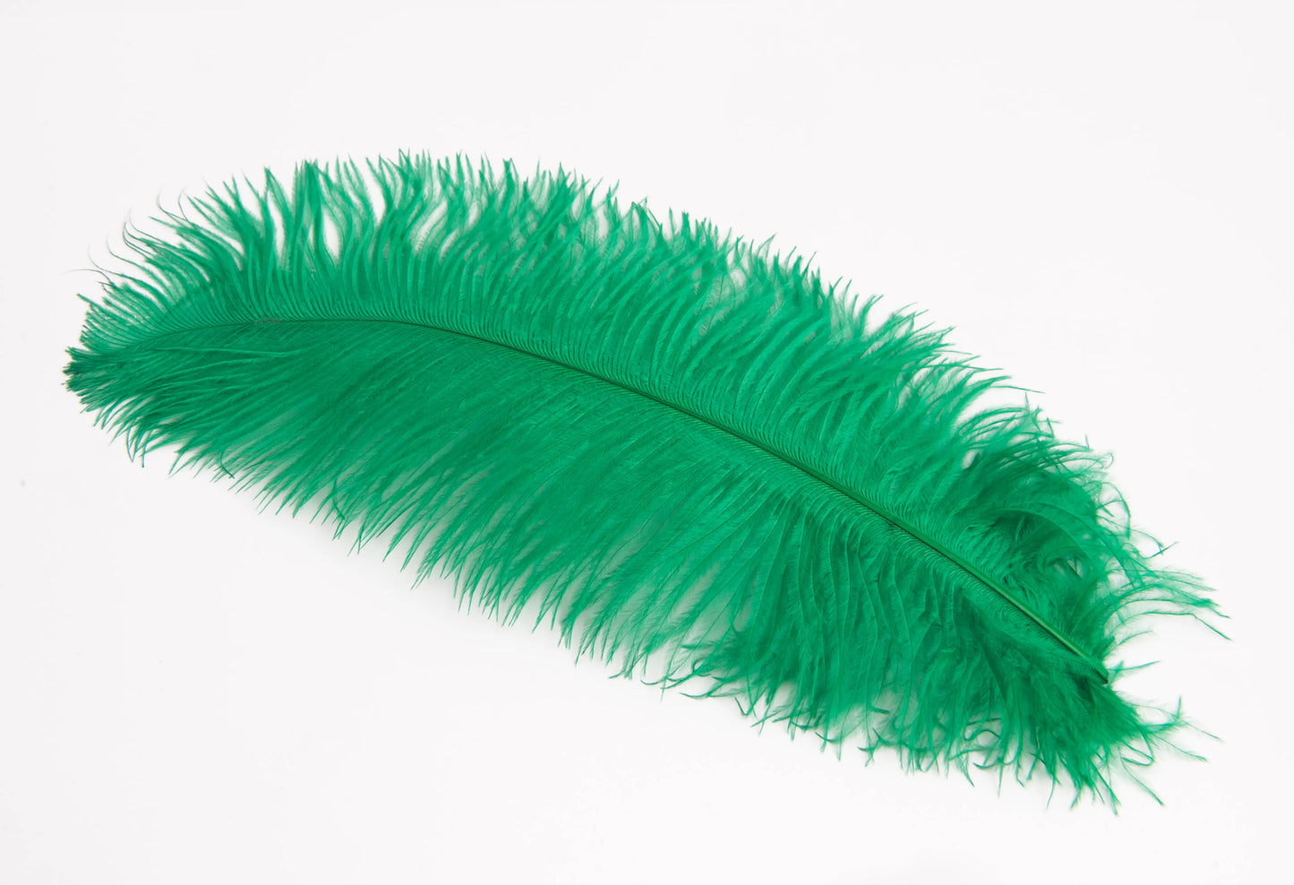Pluma de Avestruz Chica - 30 a 35 cm
