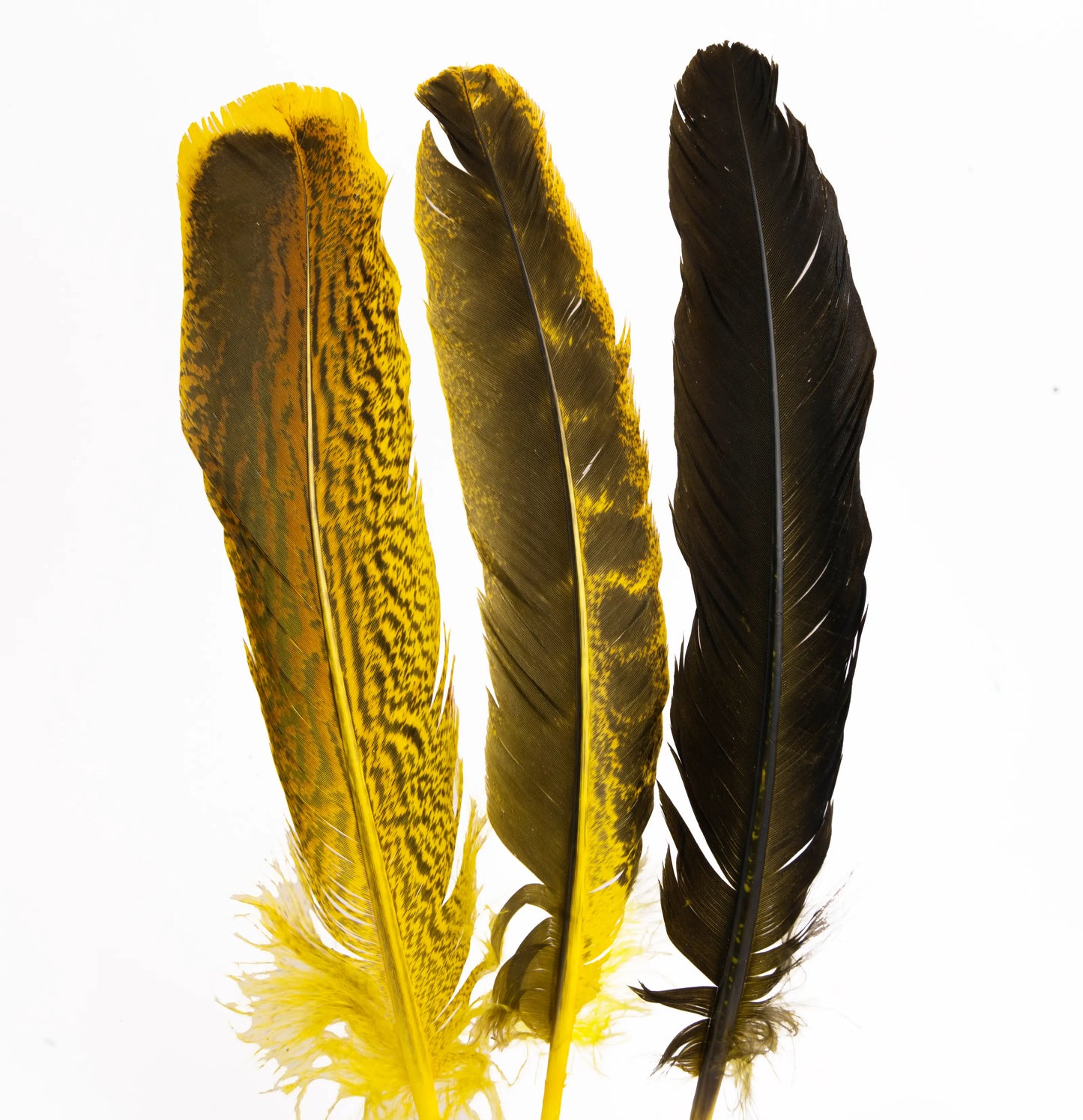 Pluma de Pavo Jaspeada – Paquete de 10 Piezas
