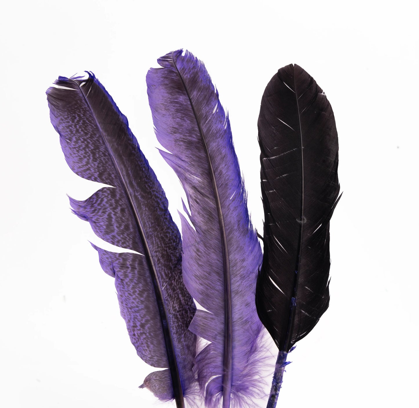 Pluma de Pavo Jaspeada – Paquete de 10 Piezas