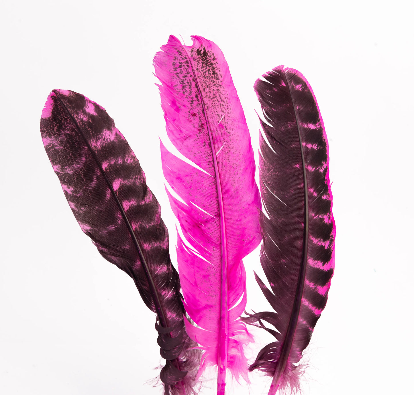 Pluma de Pavo Jaspeada – Paquete de 10 Piezas
