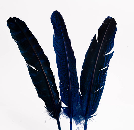 Pluma de Pavo Jaspeada – Paquete de 10 Piezas