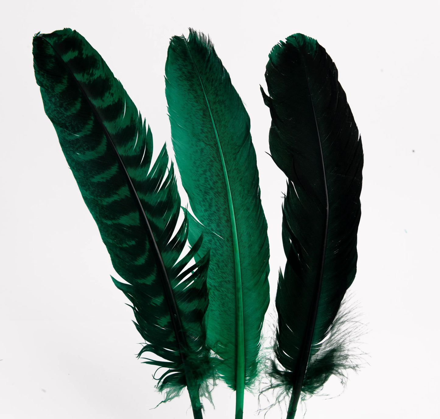 Pluma de Pavo Jaspeada – Paquete de 10 Piezas