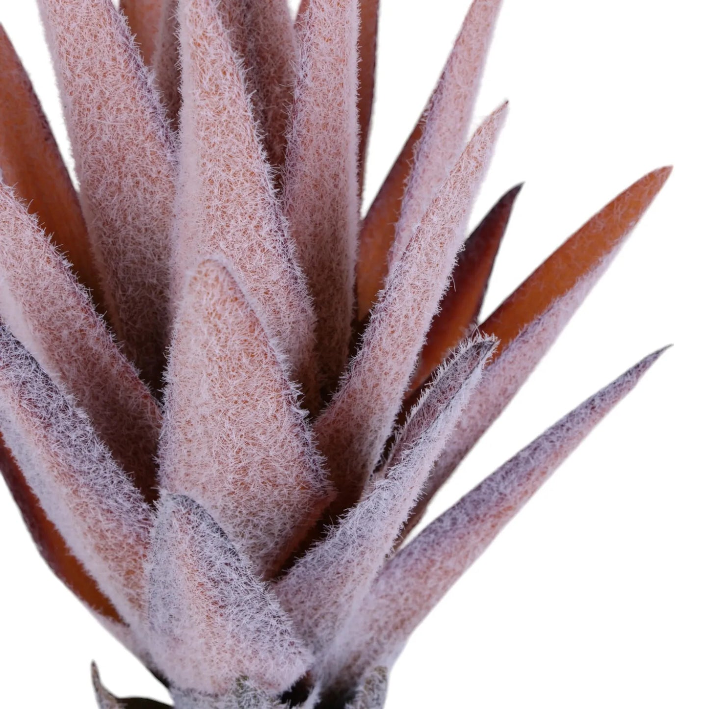 Dalia Decorativa Escarchada – 78 cm