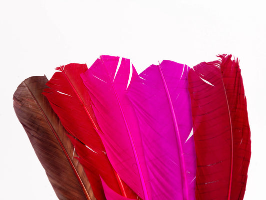 Pluma Natural de Alón de Pavo  - Paquete con 10 piezas