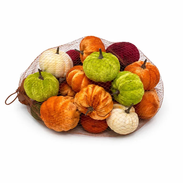 Set de seis calabazas decorativas en tonos surtidos