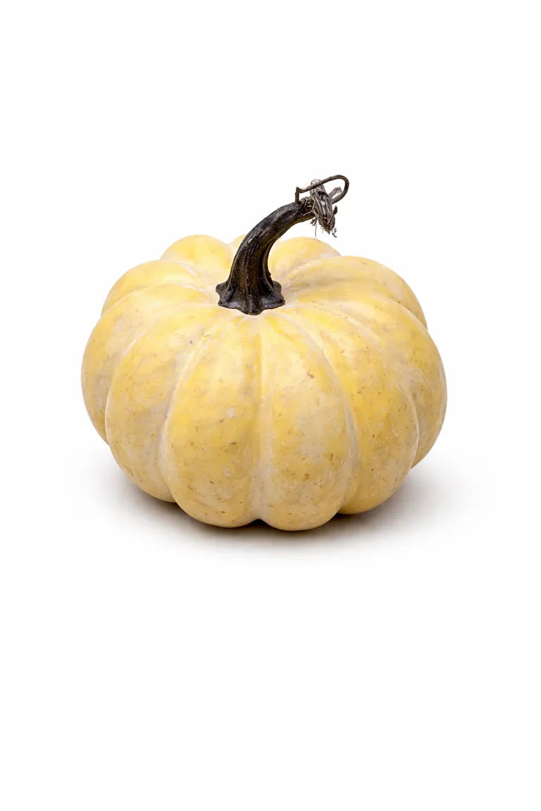 Calabaza decorativa blanca de 13 cm para arreglos otoñales