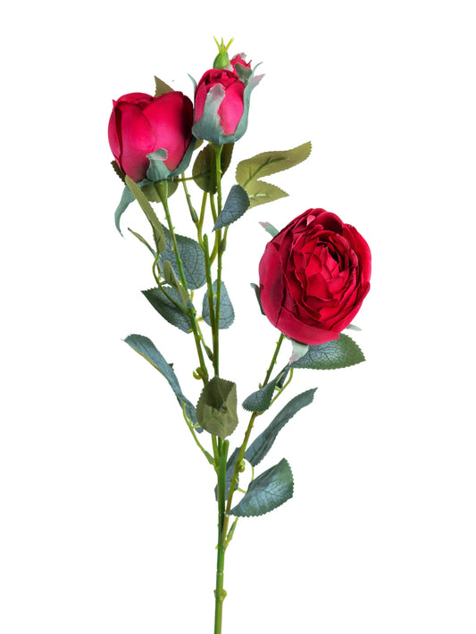 Vara de Rosas Rojas 63 C.M.