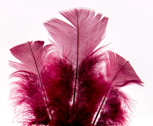 Pluma de Pavo Calidad AAA 10 Piezas | Ideal para Manualidades, Decoración y Proyectos DIY