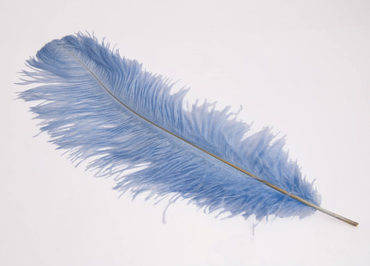 Pluma de Avestruz Grande - 50/55 cm