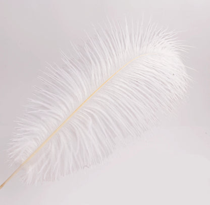 Pluma de Avestruz Grande - 50/55 cm