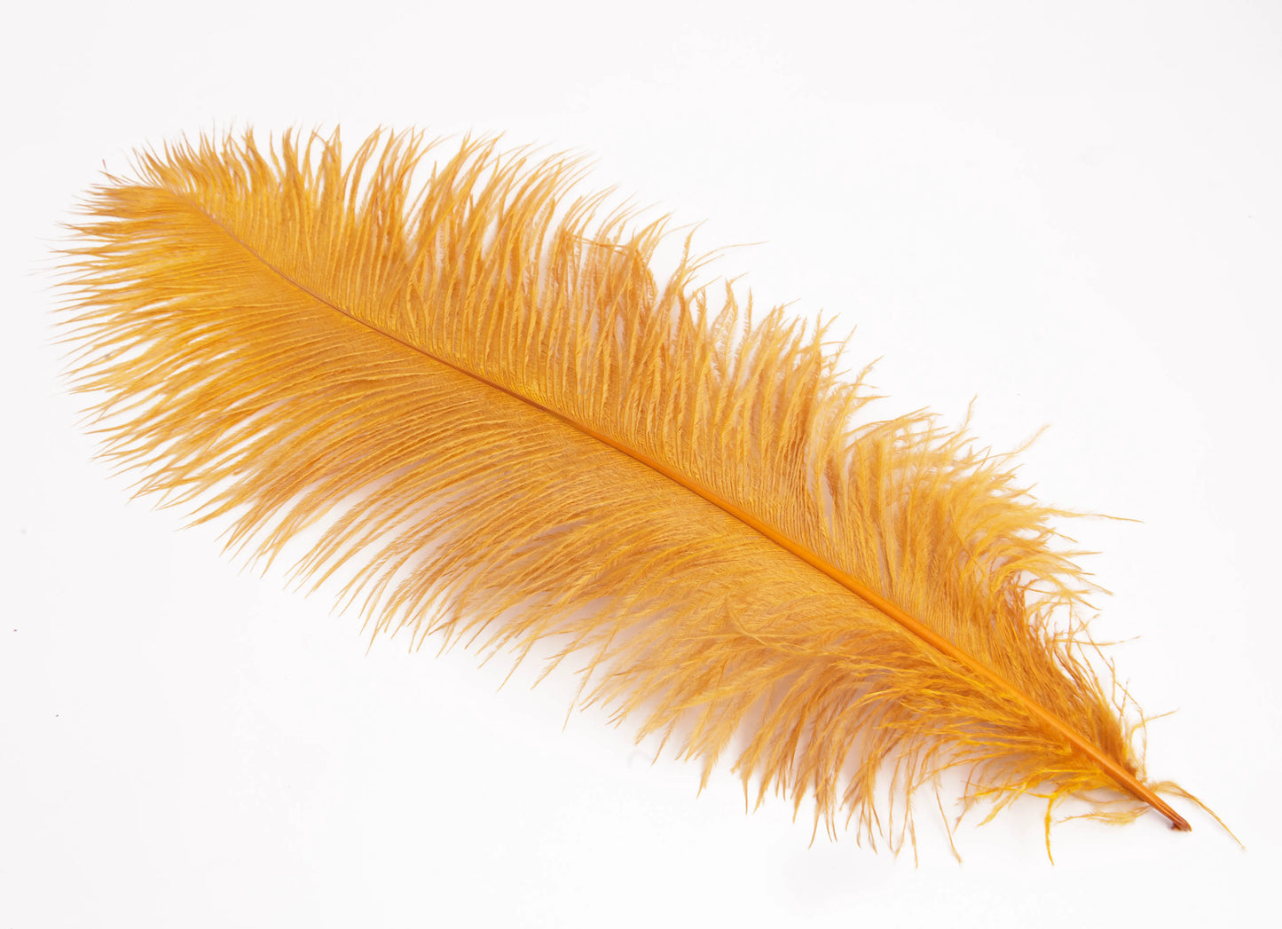 Pluma de Avestruz Grande - 50/55 cm