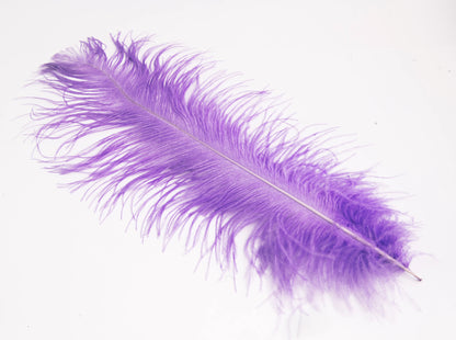 Pluma de Avestruz Grande - 50/55 cm