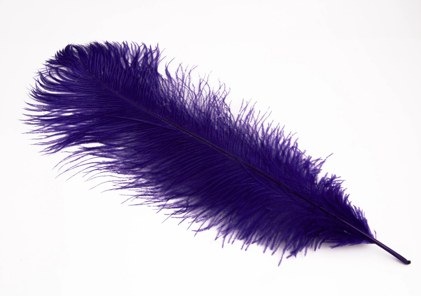 Pluma de Avestruz Grande - 50/55 cm