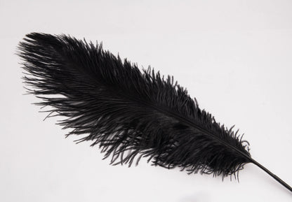 Pluma de Avestruz Grande - 50/55 cm