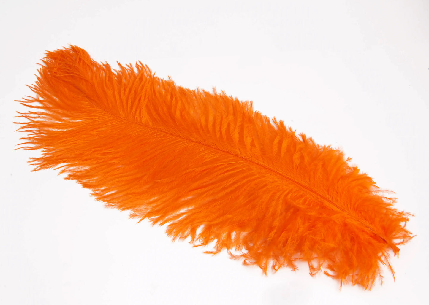 Pluma de Avestruz Grande - 50/55 cm