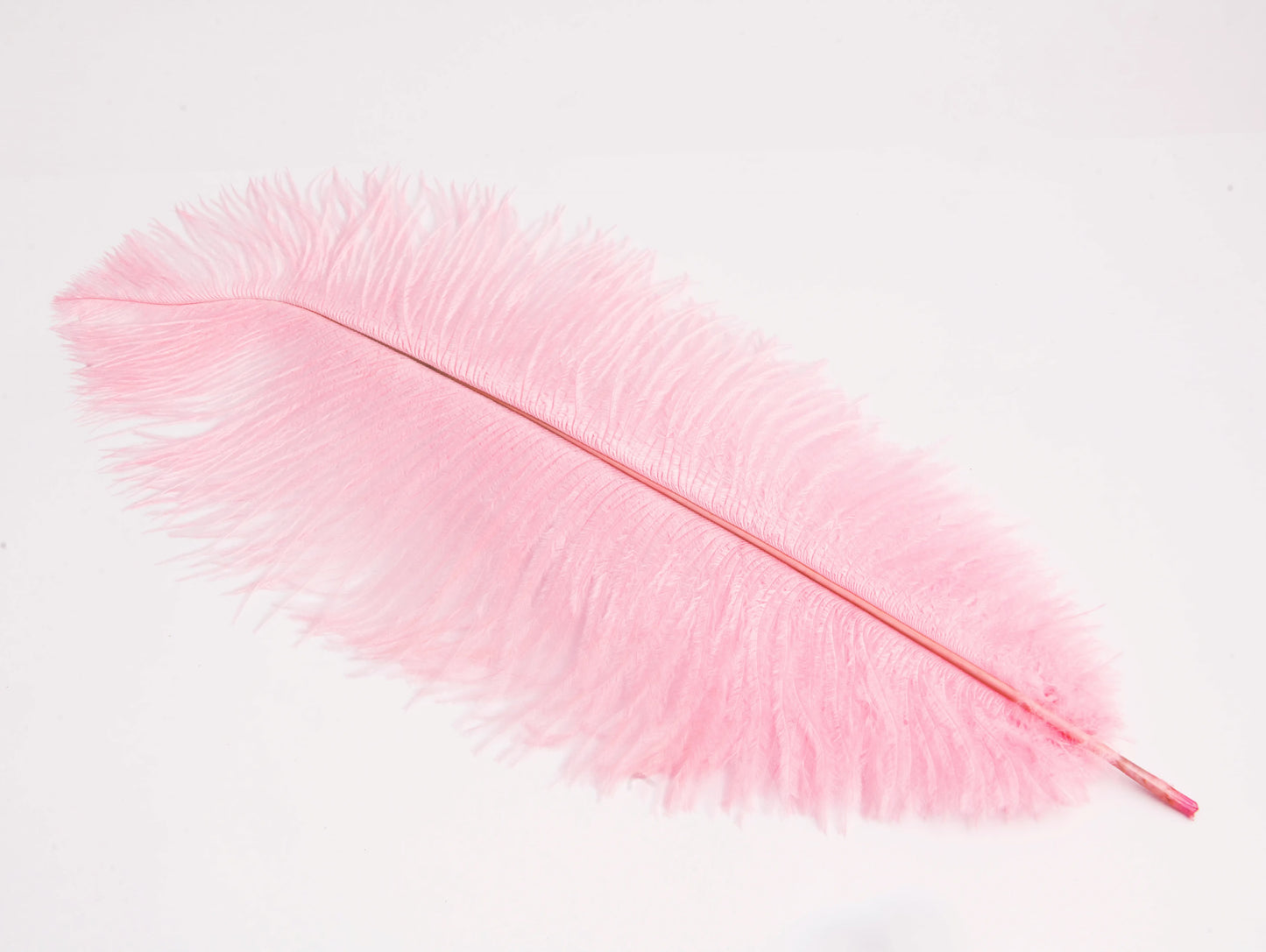 Pluma de Avestruz Grande - 50/55 cm