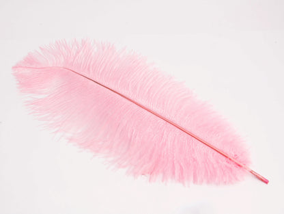 Pluma de Avestruz Grande - 50/55 cm