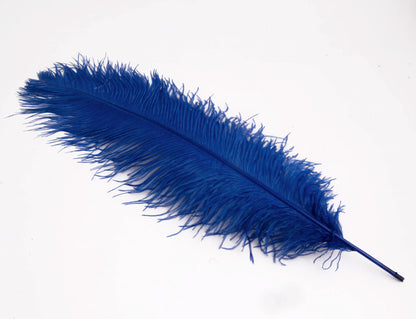 Pluma de Avestruz Grande - 50/55 cm