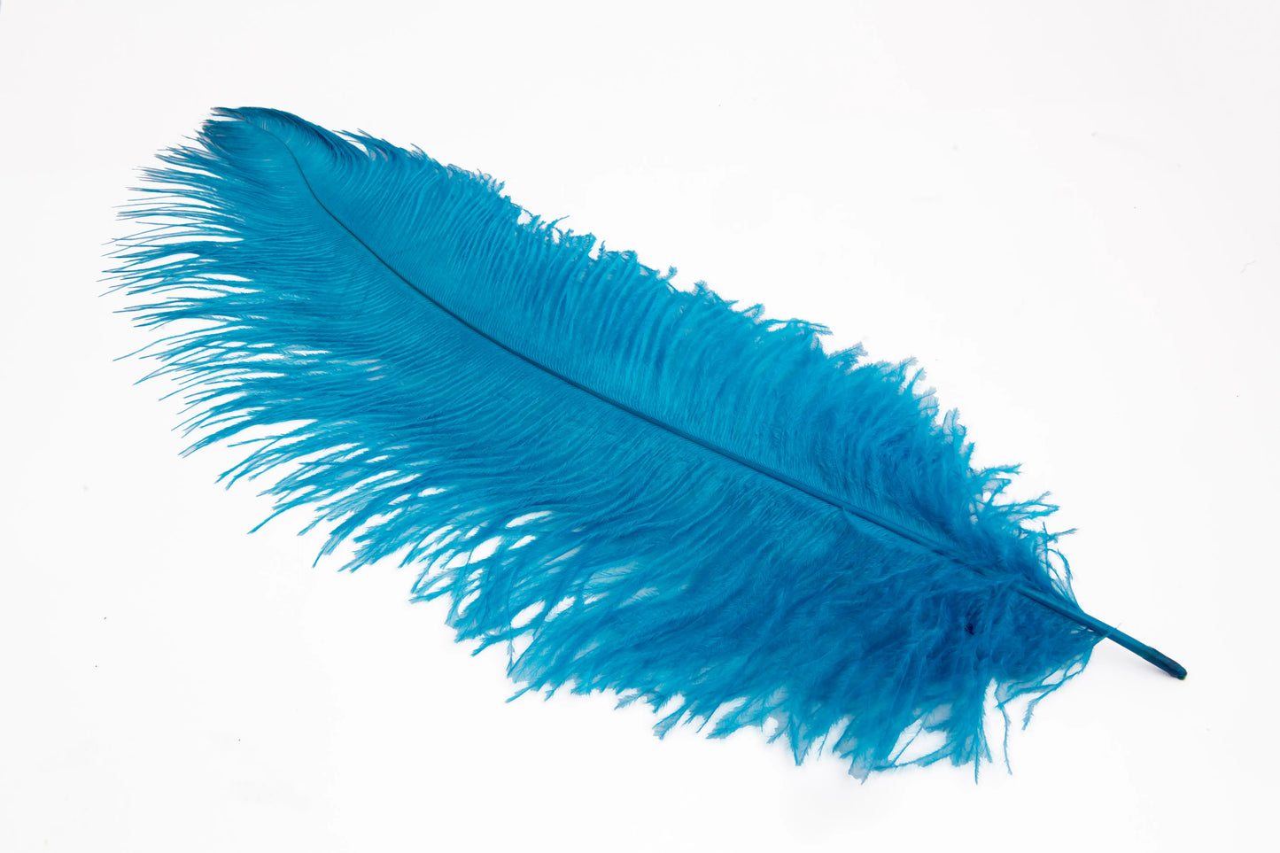 Pluma de Avestruz Grande - 50/55 cm