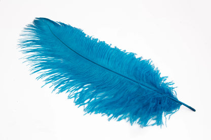 Pluma de Avestruz Grande - 50/55 cm