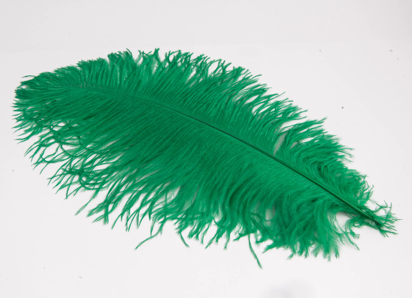 Pluma de Avestruz Grande - 50/55 cm