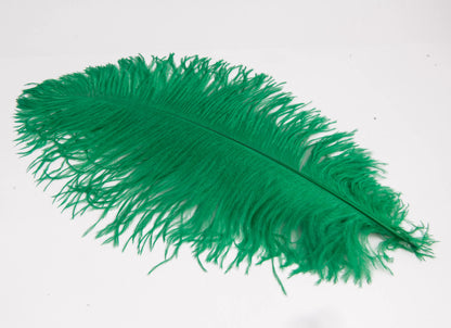 Pluma de Avestruz Grande - 50/55 cm