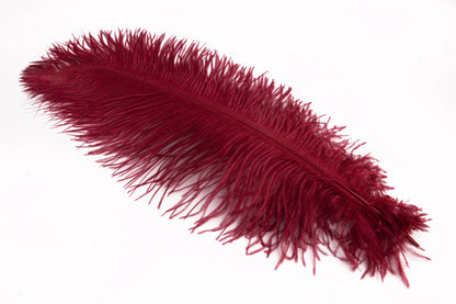 Pluma de Avestruz Grande - 50/55 cm