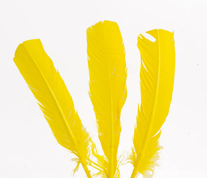 Pluma Natural de Alón de Pavo  - Paquete con 10 piezas