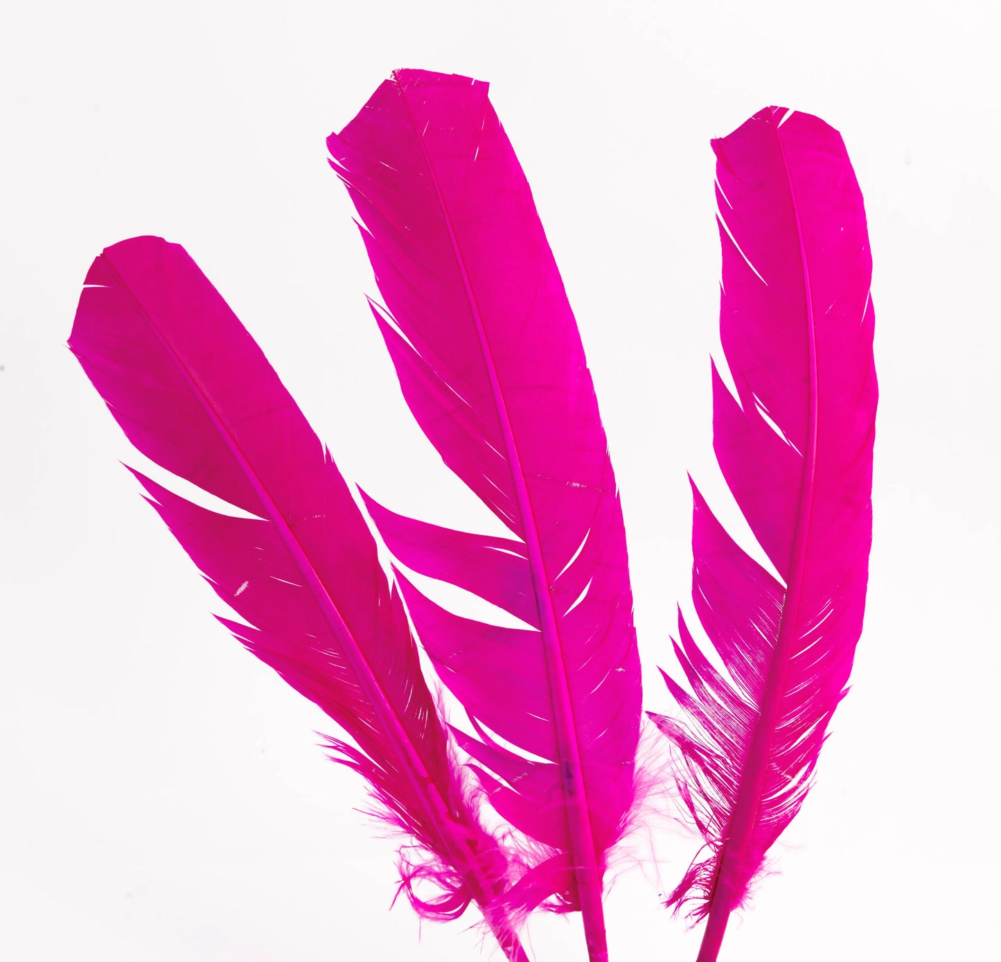 Pluma Natural de Alón de Pavo  - Paquete con 10 piezas