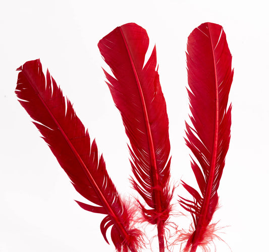 Pluma Natural de Alón de Pavo  - Paquete con 10 piezas