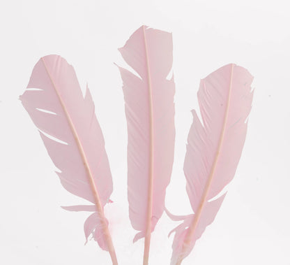 Pluma Natural de Alón de Pavo  - Paquete con 10 piezas