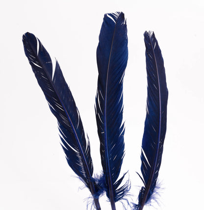Pluma Natural de Alón de Pavo  - Paquete con 10 piezas