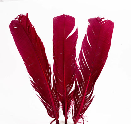 Pluma Natural de Alón de Pavo  - Paquete con 10 piezas