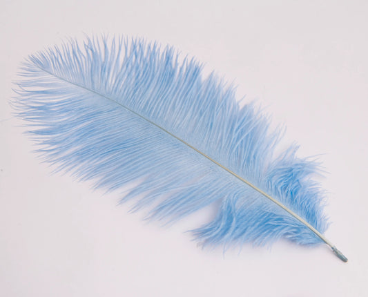 Pluma de Avestruz Chica - 30 a 35 cm