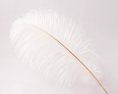 Pluma de Avestruz Chica - 30 a 35 cm