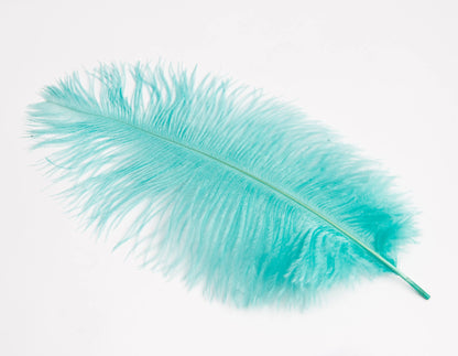 Pluma de Avestruz Chica - 30 a 35 cm