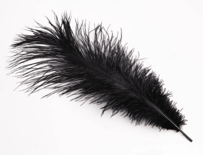 Pluma de Avestruz Chica - 30 a 35 cm