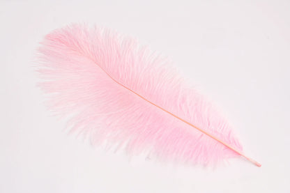 Pluma de Avestruz Chica - 30 a 35 cm